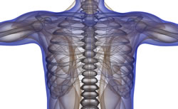 noblesville fibromyalgia care