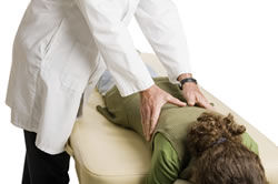 chiropractic adjustment noblesville in